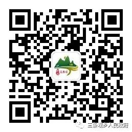 三條峴鄉(xiāng)人民政府